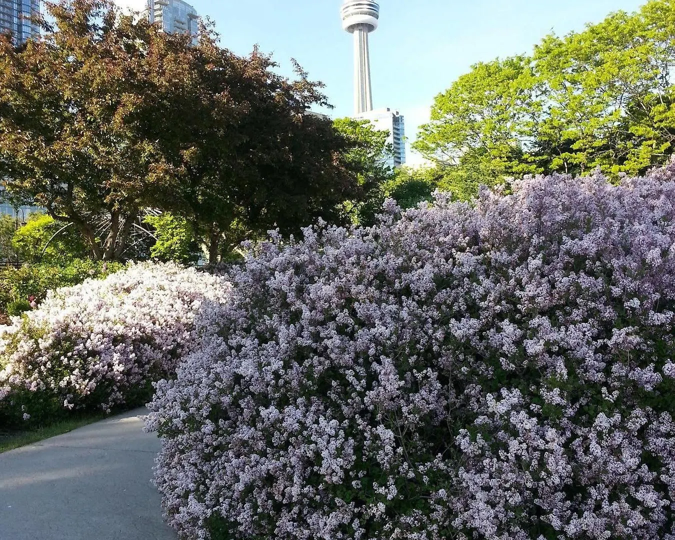 Making Waves Boatel Bed & Breakfast Toronto