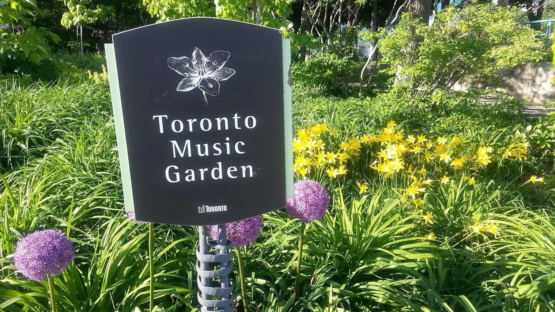 Making Waves Boatel Bed & Breakfast Toronto
